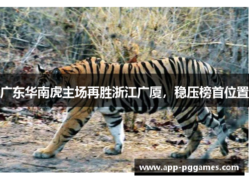 广东华南虎主场再胜浙江广厦，稳压榜首位置
