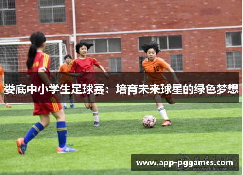 娄底中小学生足球赛：培育未来球星的绿色梦想